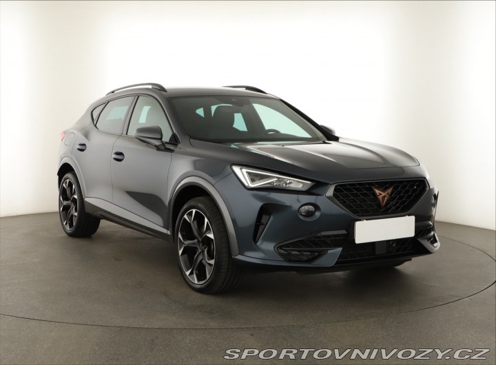 Cupra Formentor 2.0 TSI 4Drive 2023