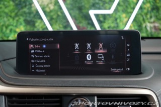 Lexus RC 4X4*CVT*BUSINESS EDITION* 2022