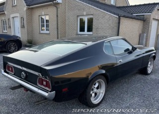 Ford Mustang Fastback 351 4V 1973