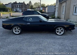 Ford Mustang Fastback 351 4V 1973
