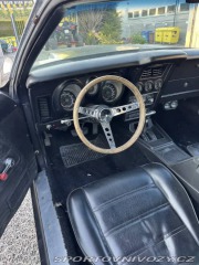 Ford Mustang Fastback 351 4V 1973