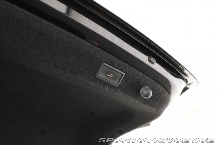 Škoda Octavia RS RS RS 2.0 TSI 2021