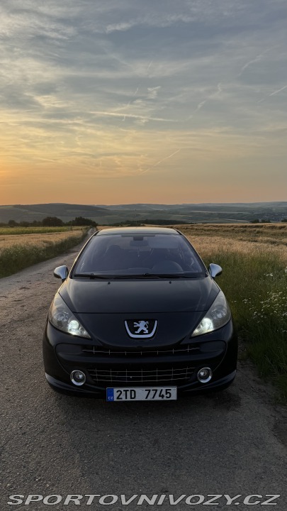 Peugeot Ostatní modely 207 GTi 2007