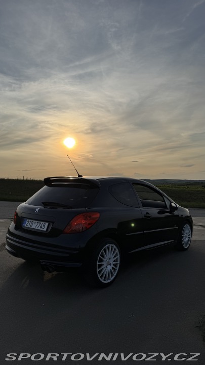 Peugeot Ostatní modely 207 GTi 2007