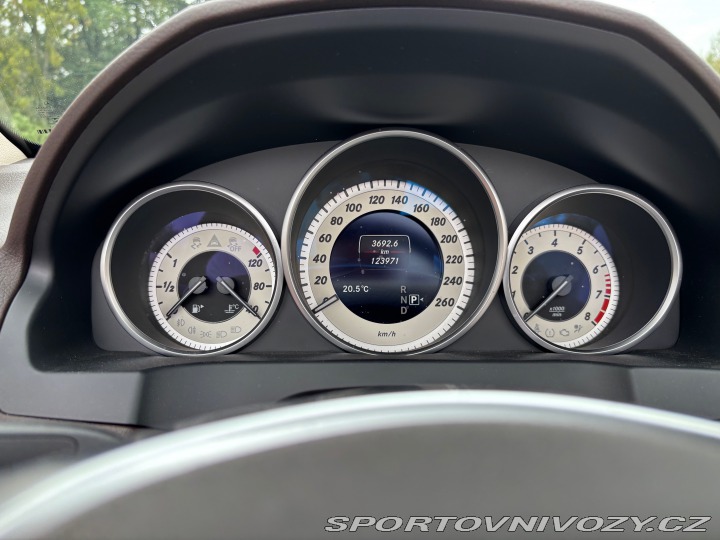 Mercedes-Benz E 207 2015