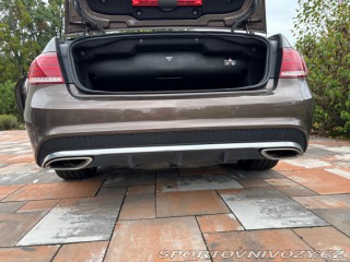 Mercedes-Benz E 207 2015