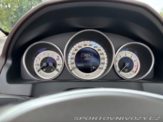 Mercedes-Benz E 207 2015