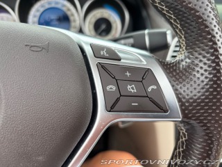 Mercedes-Benz E 207 2015