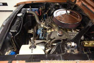 Ford Mustang  1967