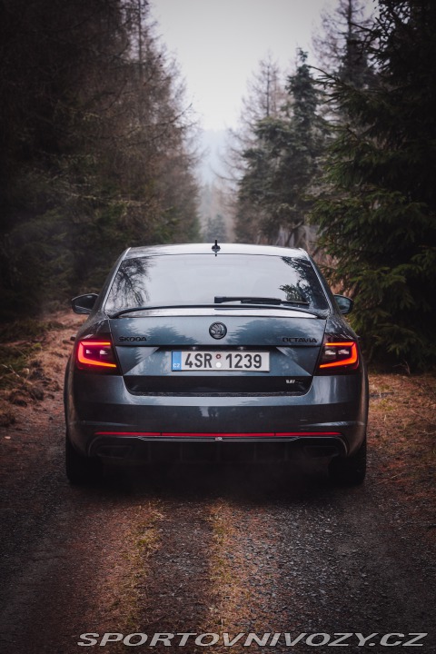 Škoda Octavia RS 2.0 TSI RS 245 2018