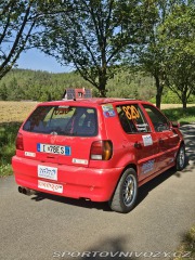 Volkswagen Polo GTI 1.4 16V 74 kW 1998