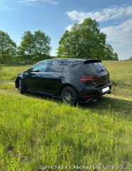 Volkswagen Golf 2.0 GTI DSG Performance 2019