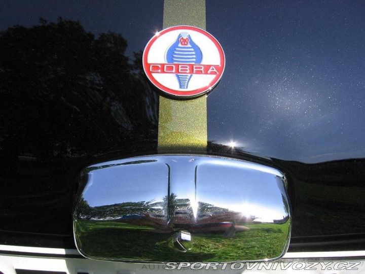 Ostatní značky Ostatní modely AC Cobra replika 2011