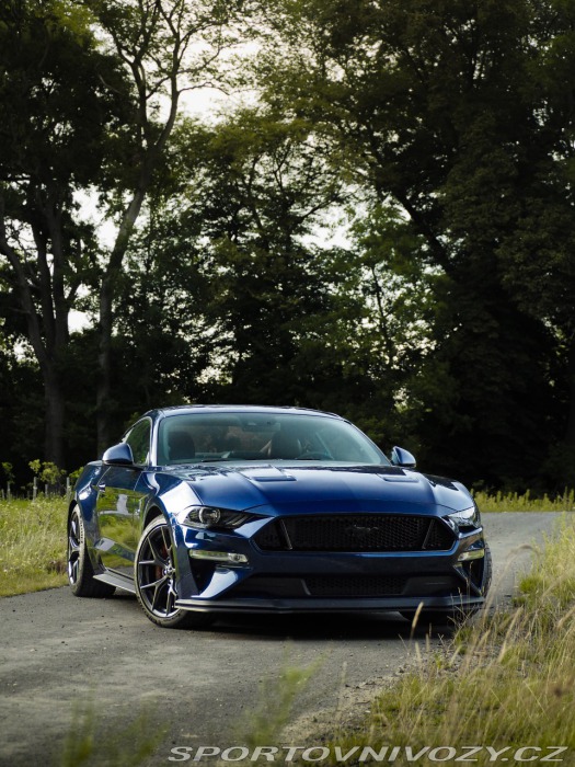Ford Mustang GT 5.0 V8 Premium /PP2