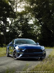 Ford Mustang GT 5.0 V8 Premium /PP2
