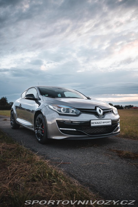 Renault Mégane 265 CUP RECARO 2014