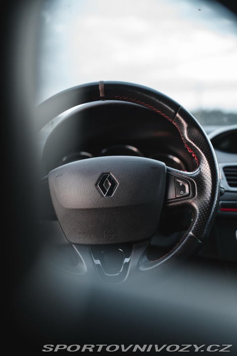 Renault Mégane 265 CUP RECARO 2014
