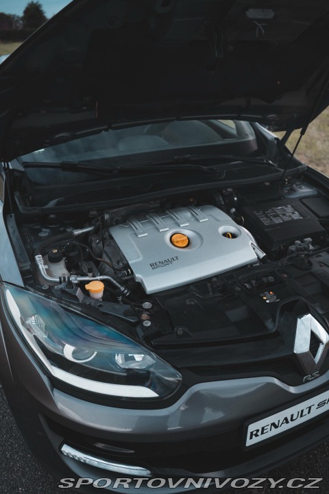 Renault Mégane 265 CUP RECARO 2014