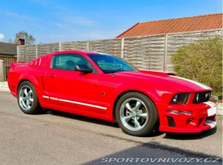 Ford Mustang Roush Stage 1. V8 2005