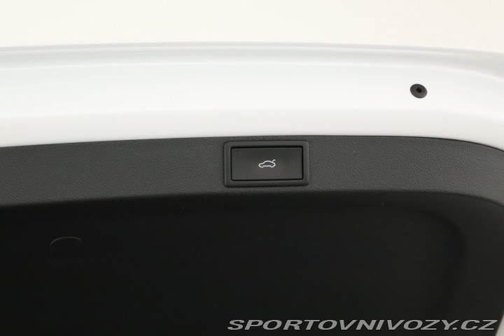 Škoda Octavia RS RS RS 2.0 TSI 2024