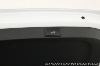 Škoda Octavia RS RS RS 2.0 TSI 2024