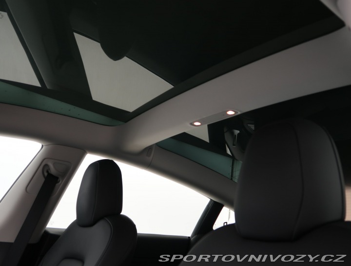 Tesla Model 3 Performance 82kWh 2022