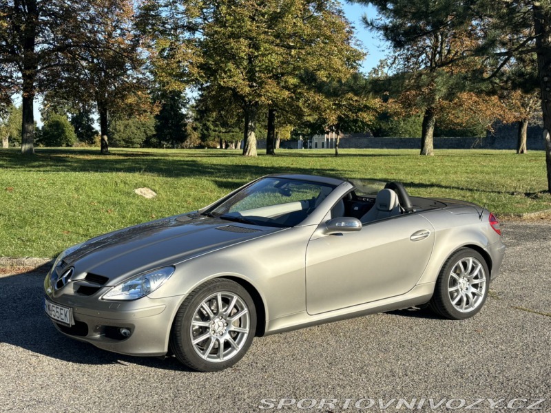 Mercedes-Benz SLK SLK 350 A/T