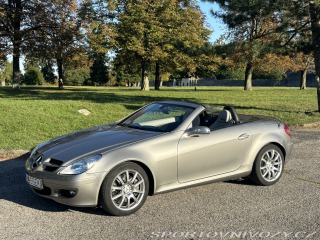 Mercedes-Benz SLK SLK 350 A/T