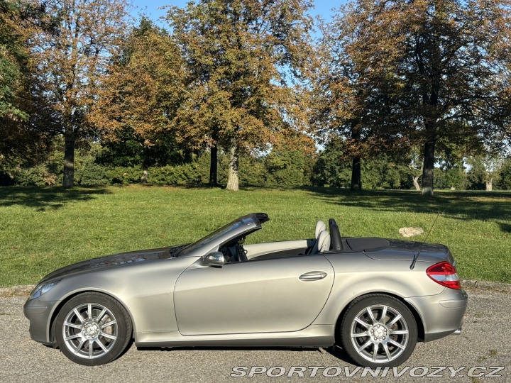 Mercedes-Benz SLK SLK 350 A/T 2006