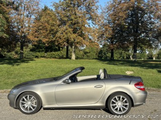 Mercedes-Benz SLK SLK 350 A/T 2006