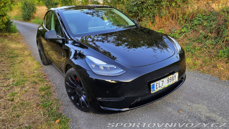 Tesla Model Y Performance
