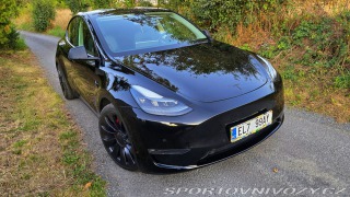 Tesla Model Y Performance
