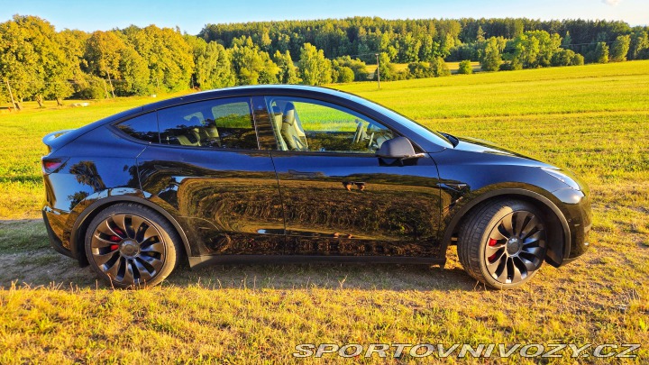 Tesla Model Y Performance 2022