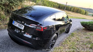 Tesla Model Y Performance 2022