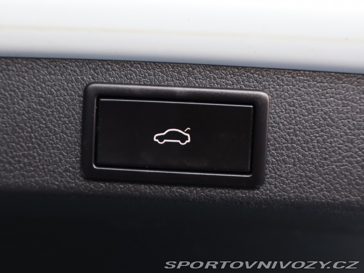 Škoda Octavia RS RS RS 2.0 TDI 4x4 DSG 2019