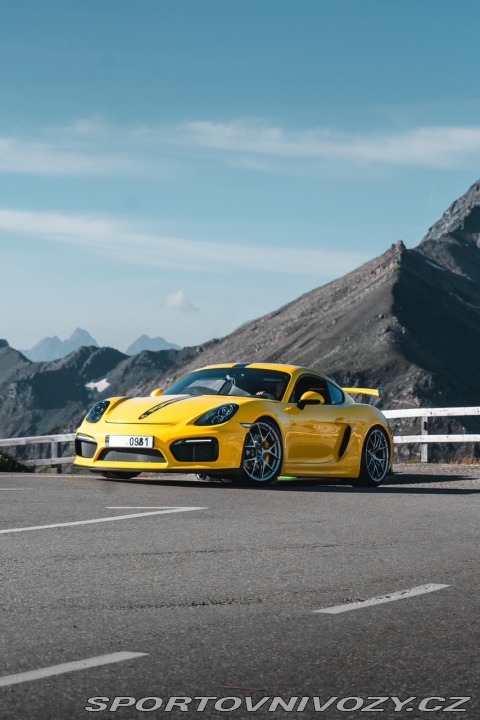 Porsche Cayman 981S 2013