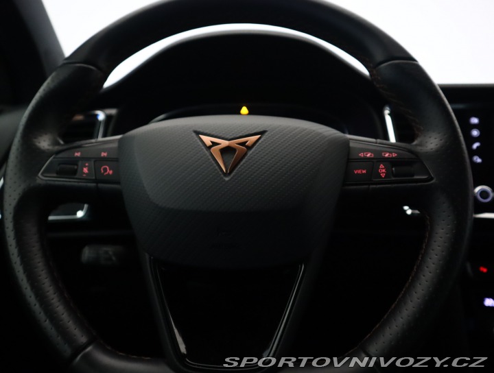 Cupra Ateca 2.0 TSI 2019