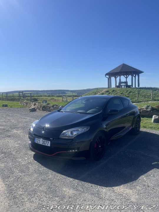 Renault Mégane RS 250 CUP 2011