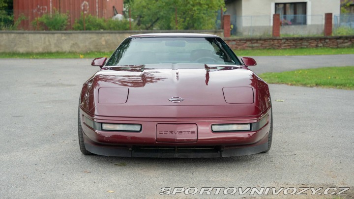 Chevrolet Corvette C4 40th Anniversary 1993