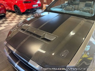 Ford Mustang Shelby GT500 Convertible 2010