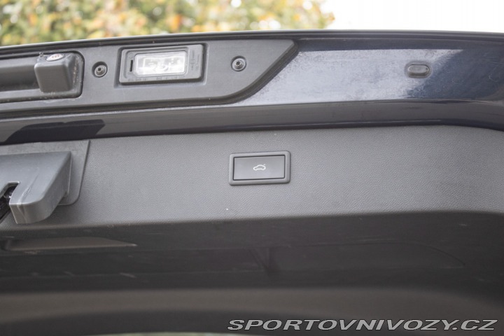 Cupra Formentor 2.0TDI 4Drive DSG /aj na 2022