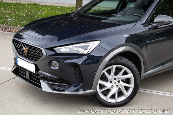 Cupra Formentor 2.0TDI 4Drive DSG /aj na 2022