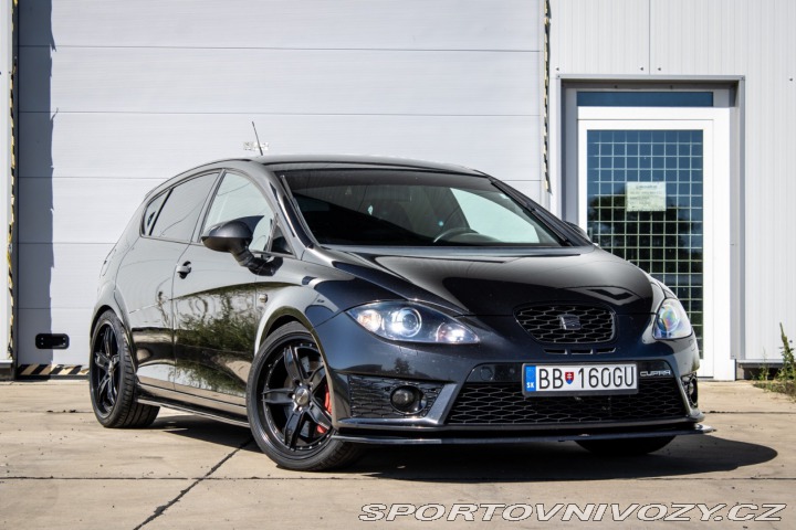 Seat Leon 2.0 TSI CUPRA R310 / AJ 2010