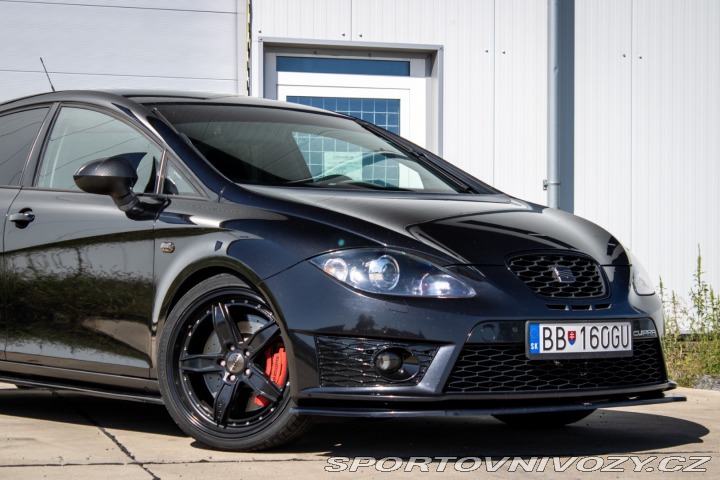 Seat Leon 2.0 TSI CUPRA R310 / AJ 2010
