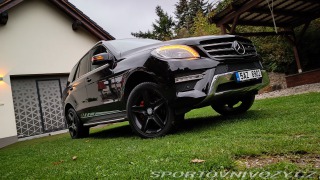 Mercedes-Benz  Mercedes ML  350 CDi w166
