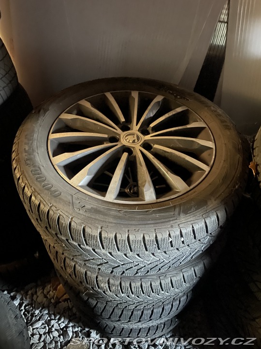 Škoda Kodiaq RS 2.0 biTdi 2019