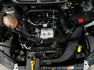 Seat Ibiza  2010