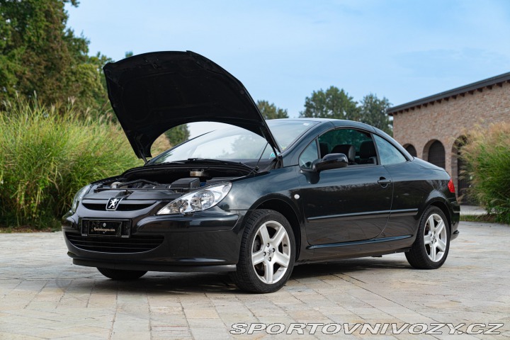Peugeot 307 CC CABRIOLET PRIVILEGE 2004