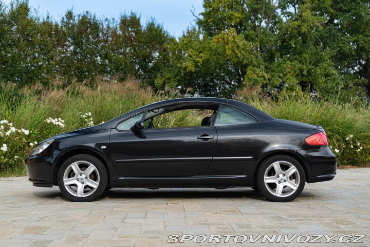 Peugeot 307 CC CABRIOLET PRIVILEGE 2004