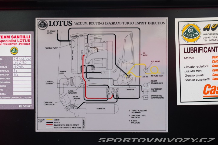 Lotus Esprit TURBO SE HIGH WING 1993